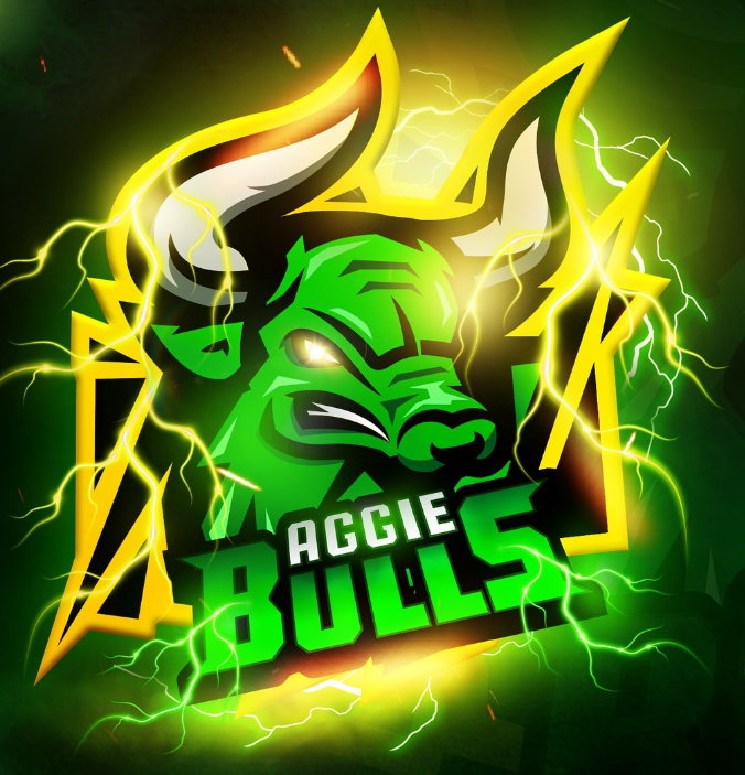 Aggie Bulls